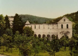 8188. P.Z. - Ruine Paulinzella. Thüringen