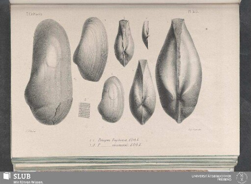 Pl. 353