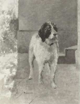 Der Hund "Kitsch"