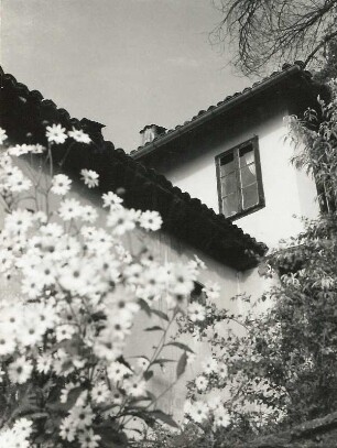 Weliko Tarnowo. Haus und Blüten