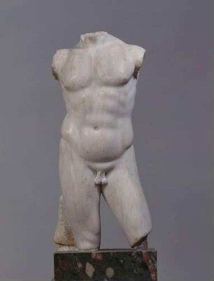 Männlicher Torso