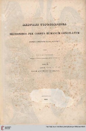 Atlas: Anatome Topographica Sectionibus Per Corpus Humanum Congelatum Triplici Directione Ductis Illustrata: Fasciculi 4. - 4A. - 4B. Extremitates