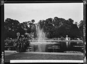 Schloss Hamptoncourt, im Park
