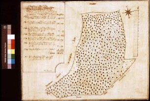 Geometrischer Plan der bronnbachischen Waldung bei dem [Hinteren] Meßhof unweit Hundheim und Steinbach (Inselkarte]