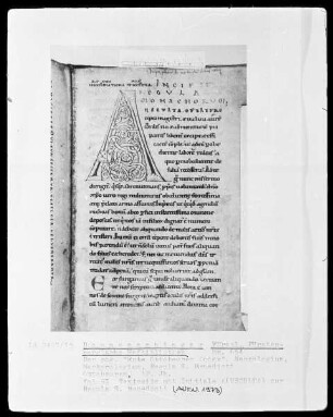 Hs. 654 & Roter Ottobeurer Codex & Necrologium Martyrologium & Regula S. Benedicti & fol 93