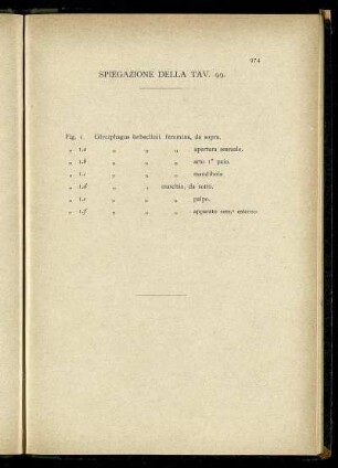 Spiegazione Della Tav. 99.