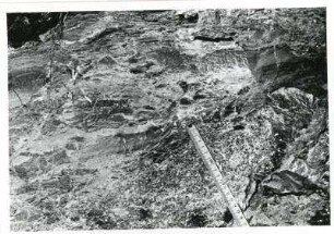 Freital-Zauckerode. Paul-Berndt-Grube (ehemaliger Königin-Carola-Schacht). Strebe 25 Kaiserschachtfeld. (x 392; y 2065). Kamm. Ausschnitt