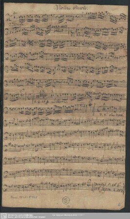 Violino Piccolo.