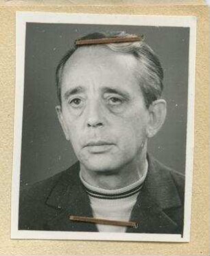 Bauingenieur Lothar Schollain