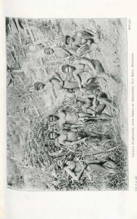 Tapioca plantation, with group of Aborigines, Ulu Batu, Selangor