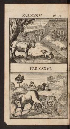 Pl. 18. Fab. XXXV. Fab. XXXVI.