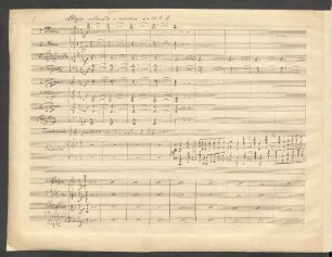 Allegro moderato e maestoso