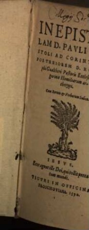 In Epistolam Pauli Ad Corinthios Posteriorem ... Homiliarum archetypi