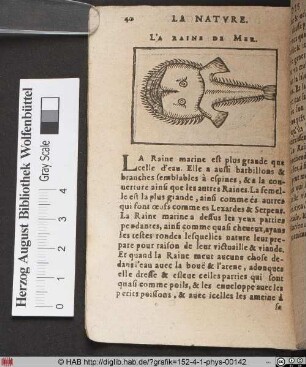 La Raine de Mer.