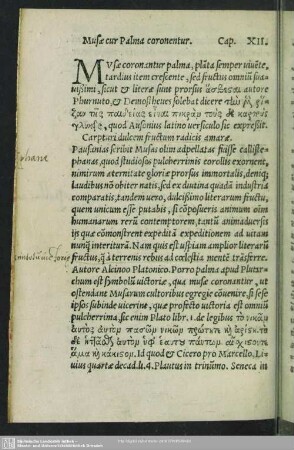 Musae cur Palma coronentur. Cap. XII.