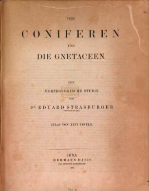 Die Coniferen und die Gnetaceen : eine morphologische Studie. [2], Atlas von XXVI Tafeln