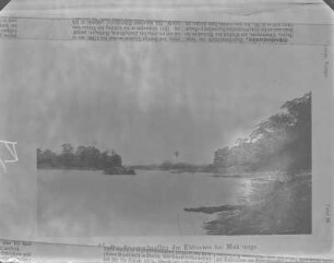 Ubangi : Der Fluss Ubangi und seine Ufervegetation