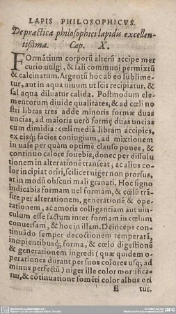 De practica philosophici lapidis excellentißima. Cap. X.