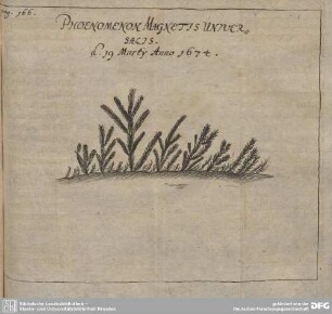 PHOENEOMENON MAGNETIS UNIVERSALIS.