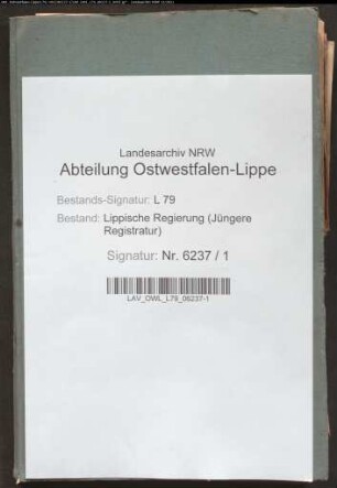 Stammrolle des Amts Oerlinghausen (Aushebungsbezirk Lage, ab 1879 Lemgo), Bd. 3