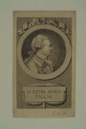 Peter Simon Pallas