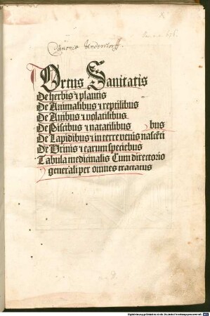 Hortus sanitatis