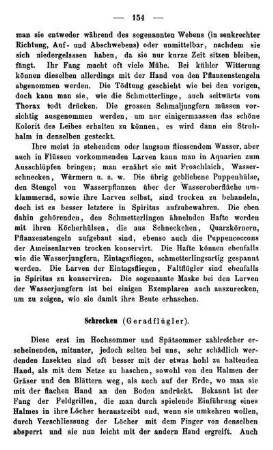 Schrecken (Geradflügler).