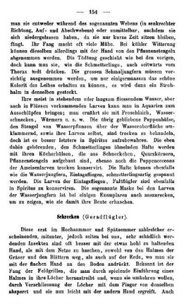 Schrecken (Geradflügler).