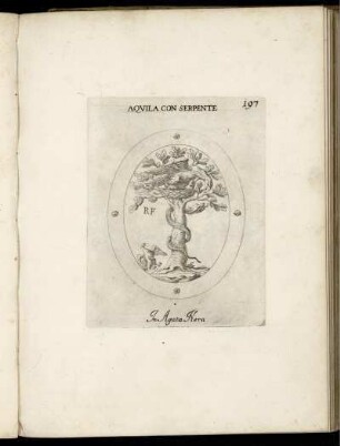 Aquila Con Serpente