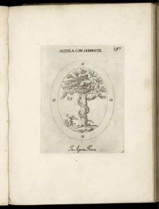 Aquila Con Serpente