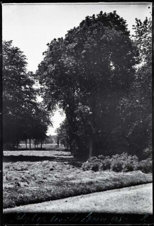 Landgut Pijnenburg