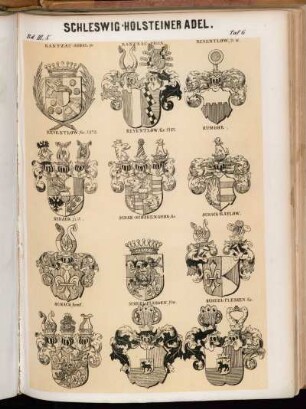 Taf. 6. Rantzau-Asdal, Gr. - Rantzau-Friis; Reventlow, St. W. - Reventlow, Gr. 1673. - Reventlow, Gr. 1767. - Rumohr. - Schack, St. W. - Schak-Schakenborg, Gr. - Schack-Ratlow. - Schack, Graf. - Scheel-Plessen, Fhr. - Scheel-Plessen, Gr.