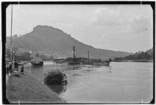Sächsische Schweiz. Anlegestelle Köngstein. Elbufer mit Raddampfer Lobositz (1936 dekorierte die Sächsisch-Böhmische Dampfschiffahrt anlässlich ihres 100-jährigen Jubiläums ihren Dampfer zur Königstein Maria um)