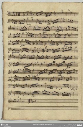 17. Anonymus, Instrumentalstücke, G-Dur