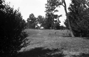 Bukarest: Golfclub, Blick auf Golfplatz, Waldschneise