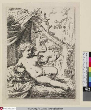 [Hercule au berceau; Herkulesknabe mit Schlangen]