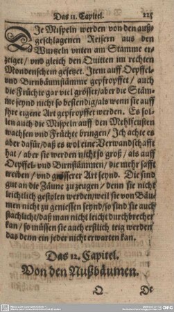 Das 12. Capitel. Von den Nußbäumen.