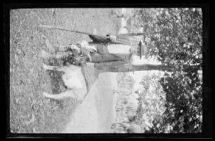 Gegend von Schliersee (Lkr. Miesbach): Hirte in sommerlicher Tracht mit einer Ziege am Strick neben Kühen auf einer Landstraße (Hochformat)