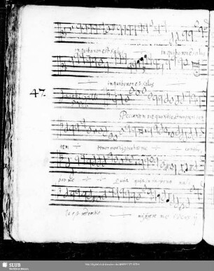 47 Iacobus Gallus: Peccantem me