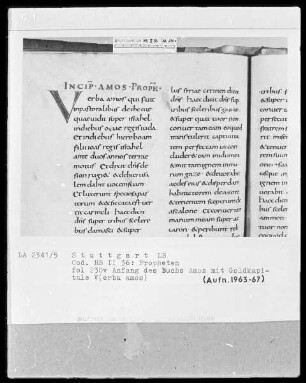 Bibliorum sacrorum pars, libri prophetarum — Initiale V(erba amos), Folio 230verso