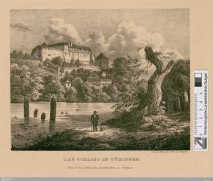 Das Schloss in Tübingen
