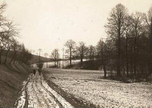 Mittelsachsen. Weg im Wiesental bei Hermsdorf