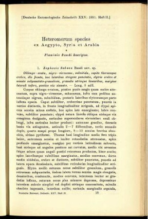 Heteromerum species ex Aegypto, Syria et Arabia