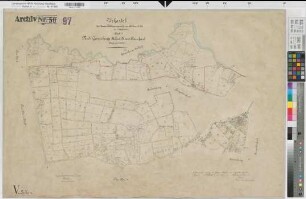 Burgsteinfurt (Steinfurt), Umlegung Sellen, Bl. 5 Urkarte I Sellen Flur 5