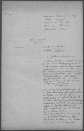 Trichtingen mit Böhringen (Dietingen), Harthausen (Epfendorf), Irslingen u.a.: Pfarrbericht 1925