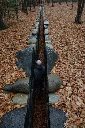 Leaning into the Wind - Andy Goldsworthy