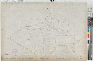 Langenhorst (Ochtrup), Flurbereinigung Langenhorst, Bl.3 Zuteilungskarte Flur 4