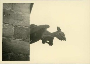 Das Freiburger Münster