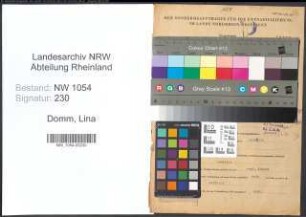 Entnazifizierung Lina Domm , geb. 30.05.1895 ()