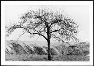 An der Grubenkante